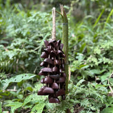 Juju Bean Seeds (Adenanthera Pavonina) Wind Chime - Horn Tree 12 strands natural red seeds handcrafted for meditation