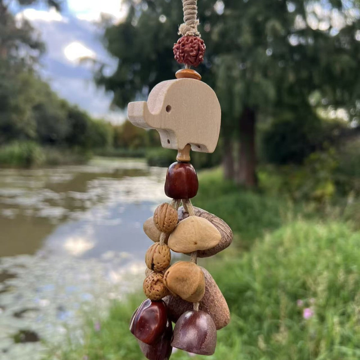 Juju Bean Seeds (Adenanthera Pavonina / Horn Tree) - reddish-brown seeds close-up texture
