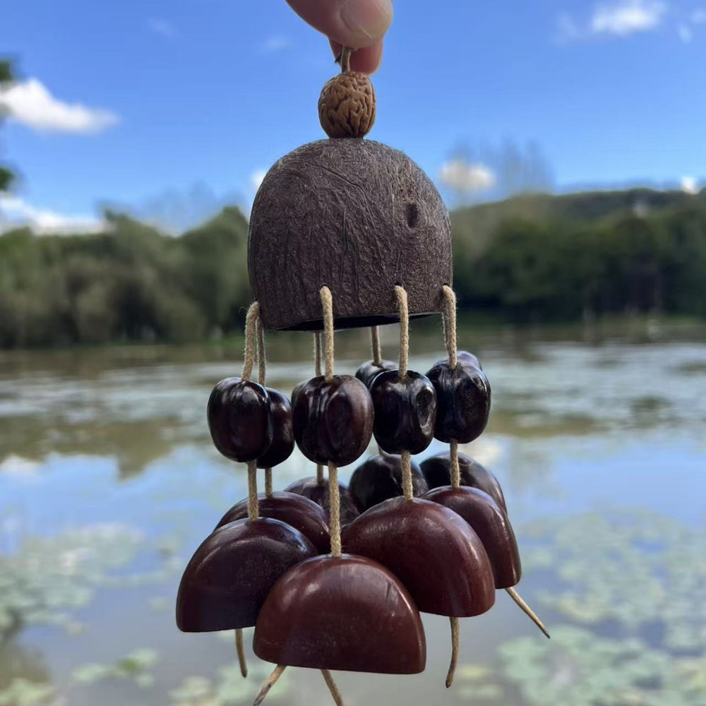 Juju Bean Seeds (Adenanthera Pavonina) - natural organic beauty close-up