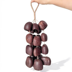 salin handmade fruit shell wind chime