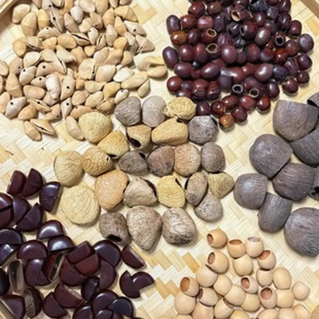 Collection of natural seeds and fruit shells used in handmade Calm&Lucky seed charms