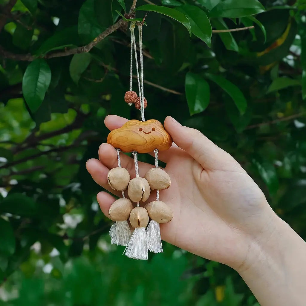 Rain Cloud seed charm — grey-blue natural seed cloud keychain