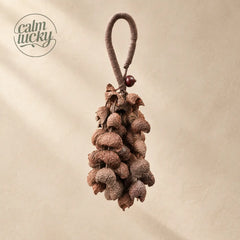 Handmade dark walnut-brown wooden seed wind chime hanging, handheld natural chime