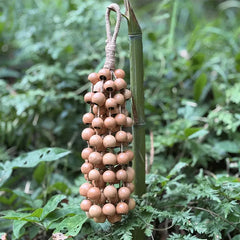 Phoenix Egg Seeds (Cycas Revoluta) Wind Chime - 12 strands natural iron tree seeds handcrafted for meditation and relaxation