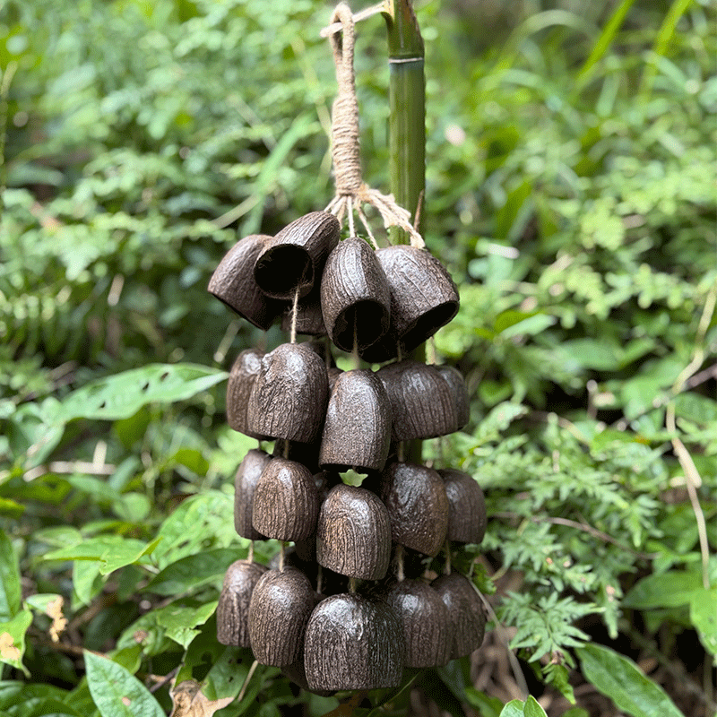 Sugar Palm Seeds (Salak) Wind Chime - Toddy Palm 12 strands natural water bells handcrafted for relaxation