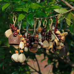 Collection of natural seeds and fruit shells used in handmade Calm&Lucky seed charms