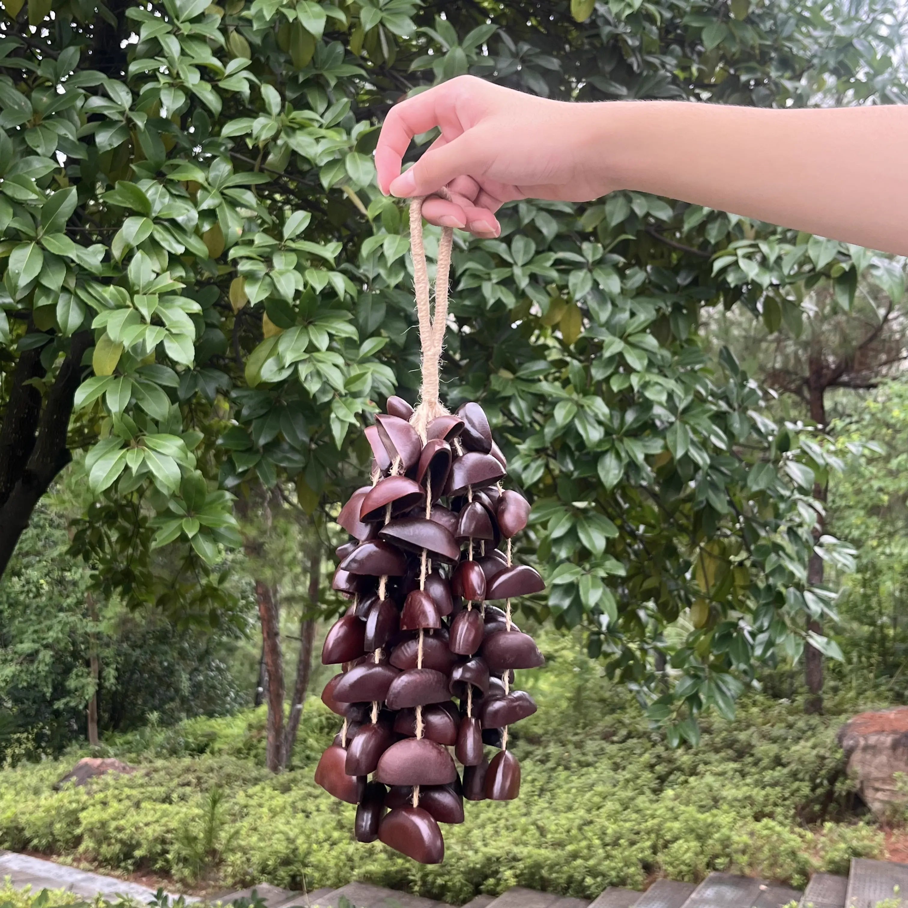 Hand holding a handcrafted Entada seed wind chime to show its natural size and deep bass seed pods