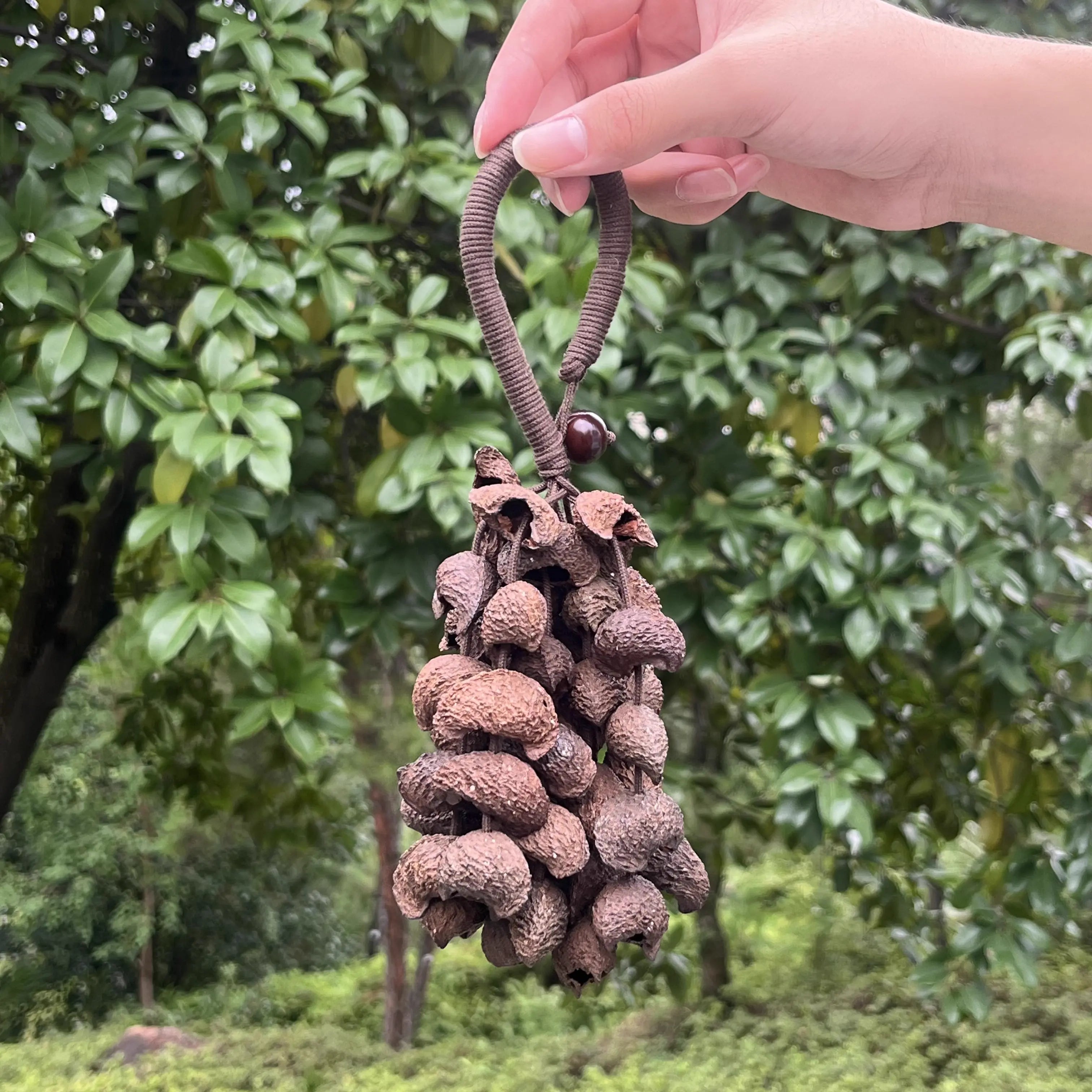 Moonin crescent pod wind chime by a bedroom window, ten strands of natural seeds for calm and restful sleep