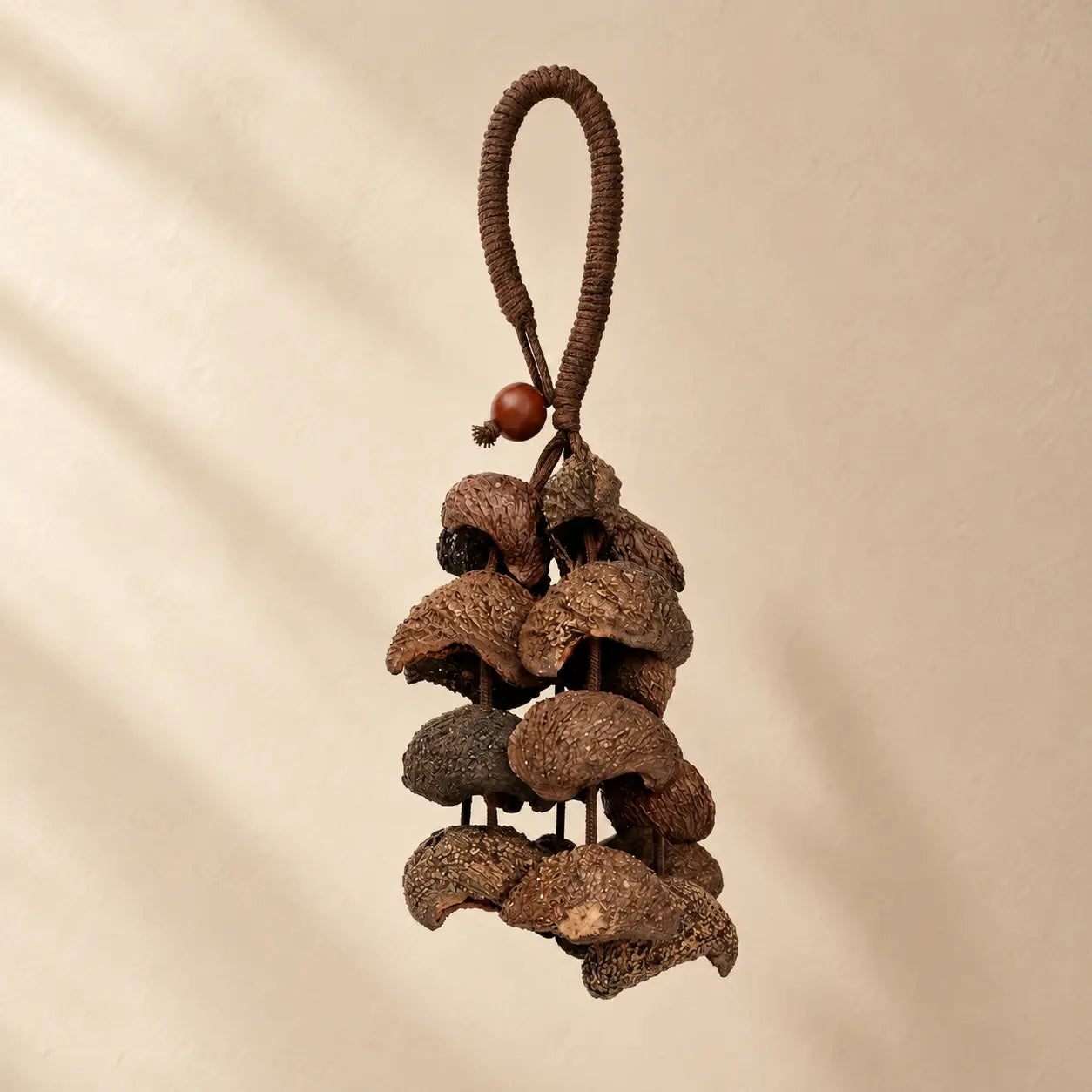Handmade Moonin seed pod rattle with 24 rough textured natural brown pods (six per strand, four clusters) on a dark wrapped fiber loop handle, earthy organic shaker sound for meditation